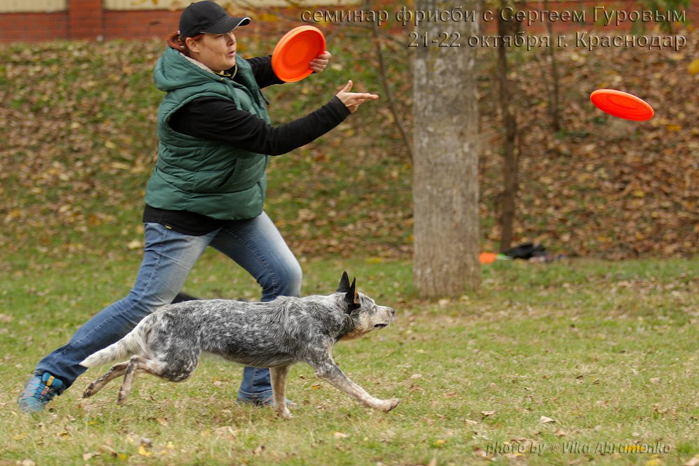 Photo from the seminar frisbee