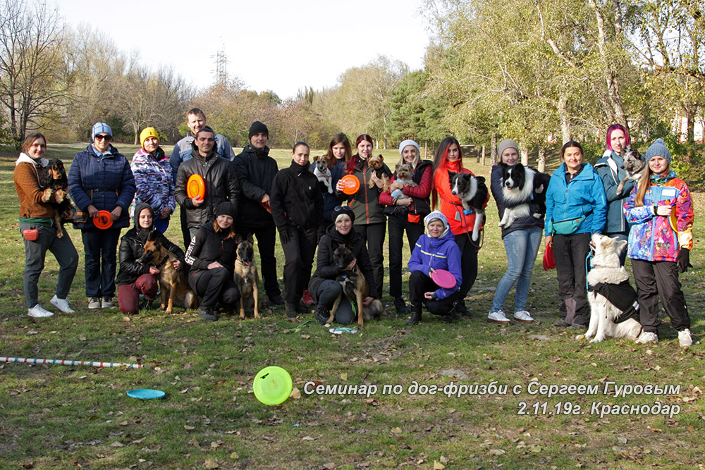 Photo from the seminar frisbee with Sergey Gurov